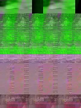 StripChat Aaisha-16 is Freechat Aaisha-16 — Freechat on StripChat