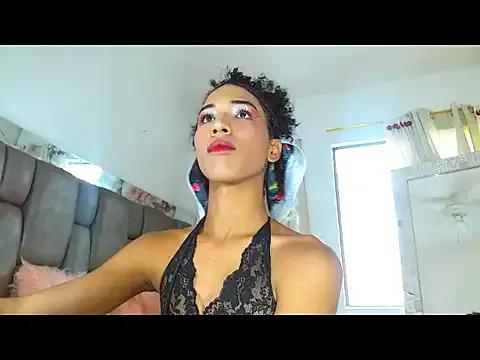 Freechat barbiepartytrans1 on StripChat