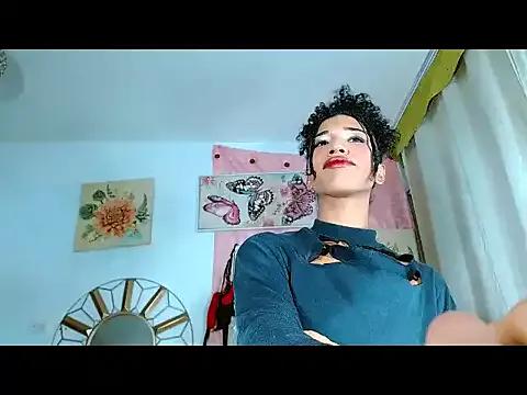 Freechat barbiepartytrans1 on StripChat