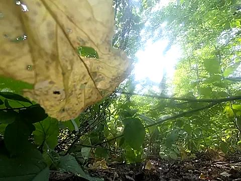 Freechat Fuckboy4public on StripChat