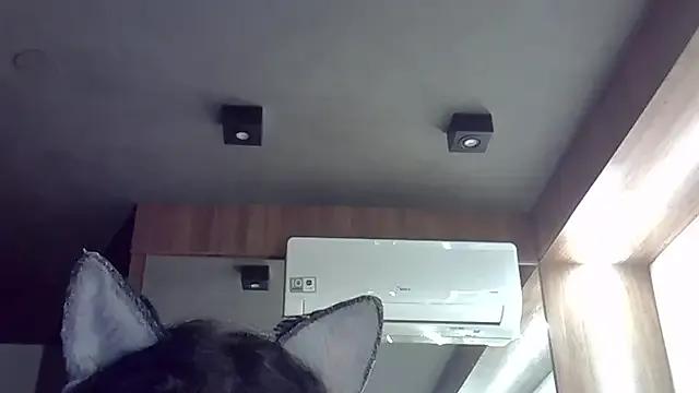 SkinnyKitten — stand uplevantar